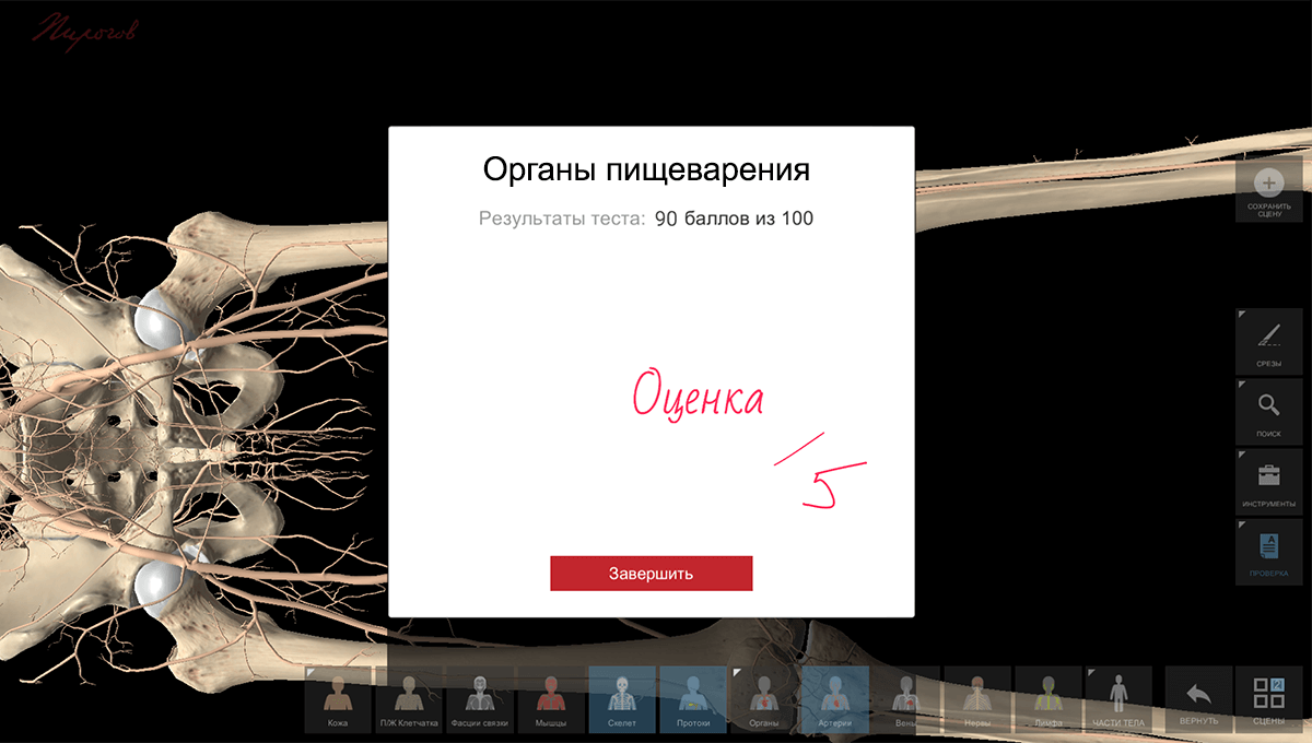 Интерактивный анатомический комплекс «Пирогов» - ИНТЕРАКТИВНАЯ ИДЕЯ